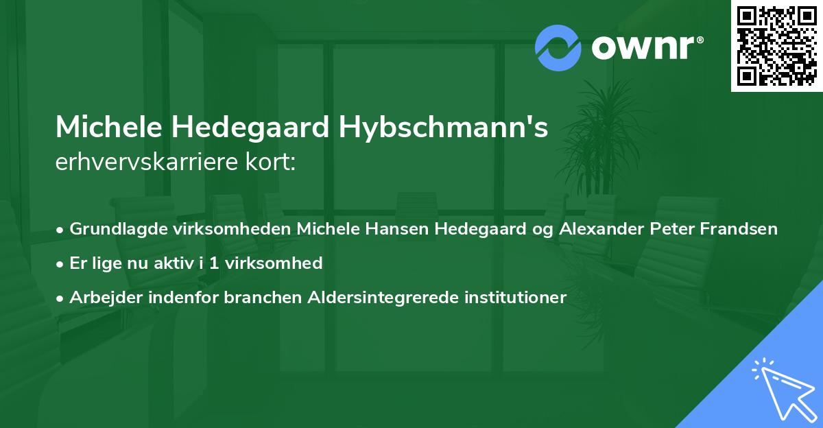 Michele Hedegaard Hybschmann's erhvervskarriere kort