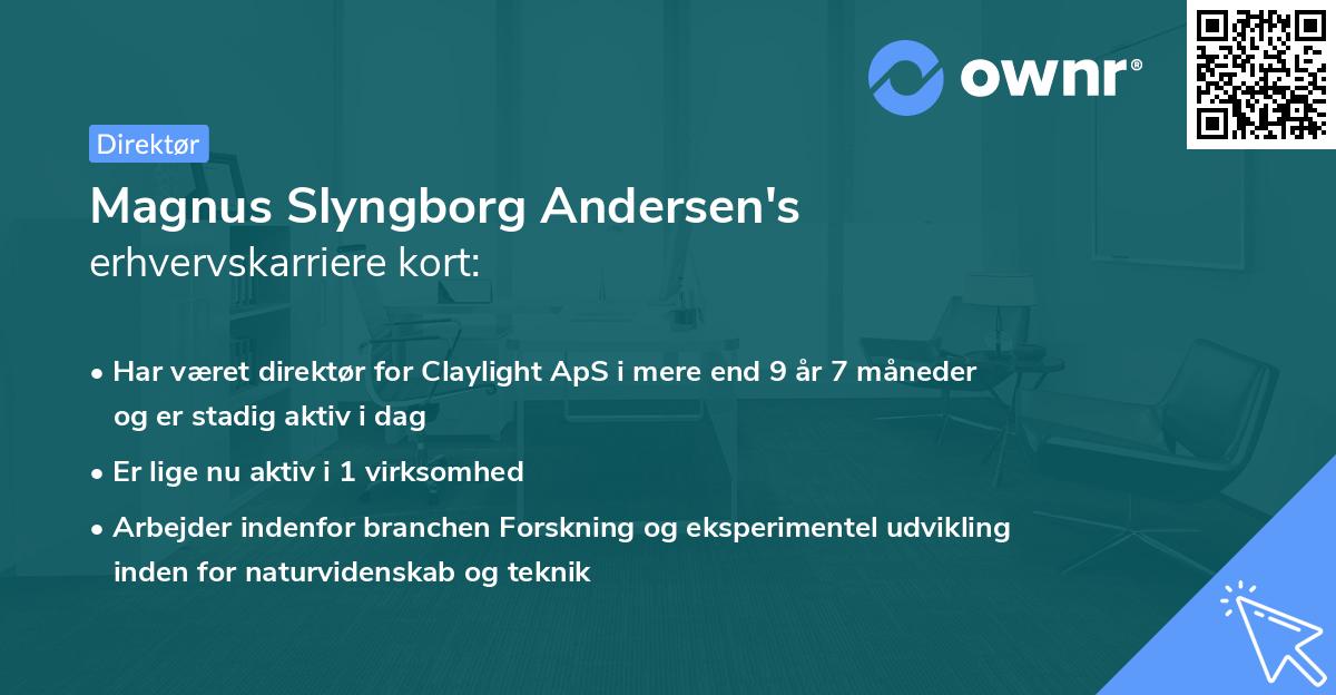 Magnus Slyngborg Andersen's erhvervskarriere kort