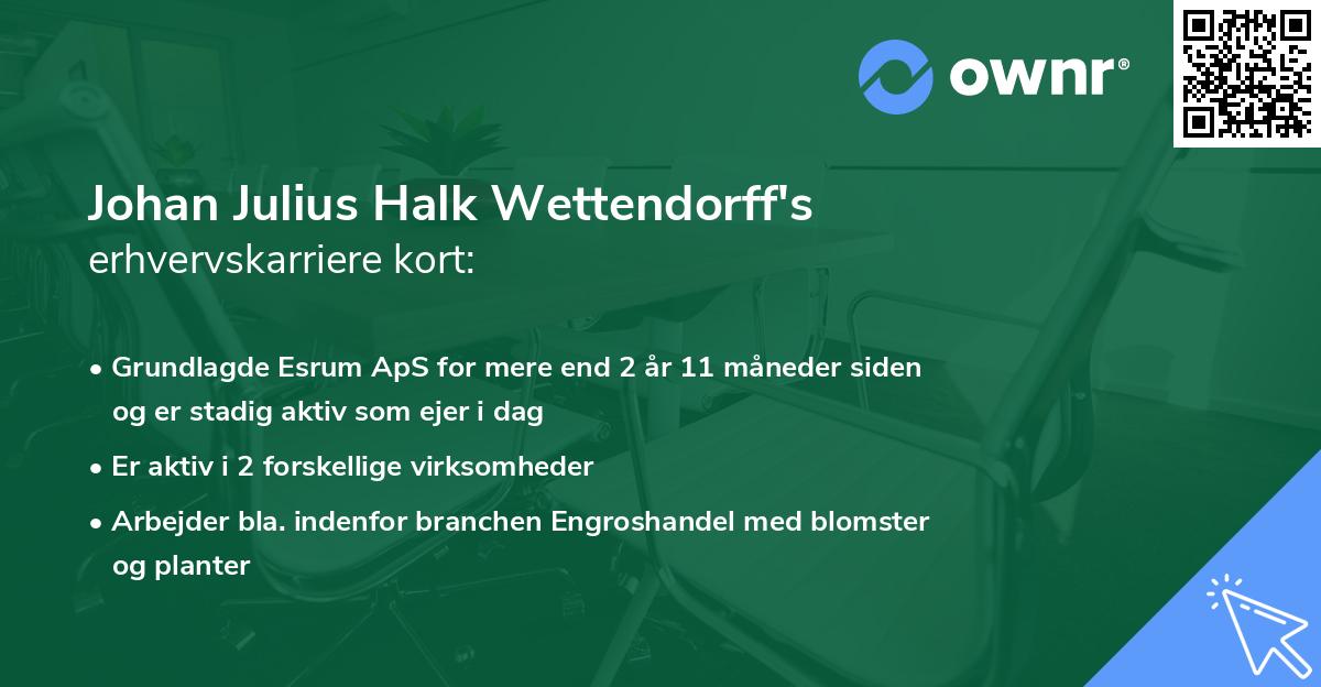 Johan Julius Halk Wettendorff's erhvervskarriere kort