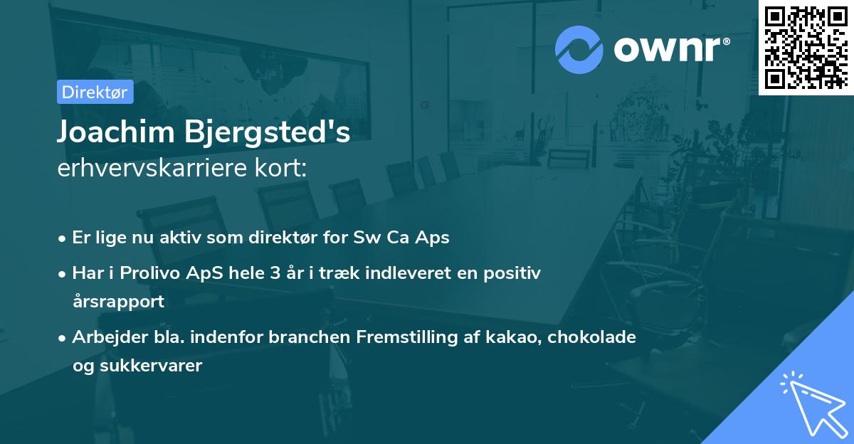 Joachim Bjergsted's erhvervskarriere kort