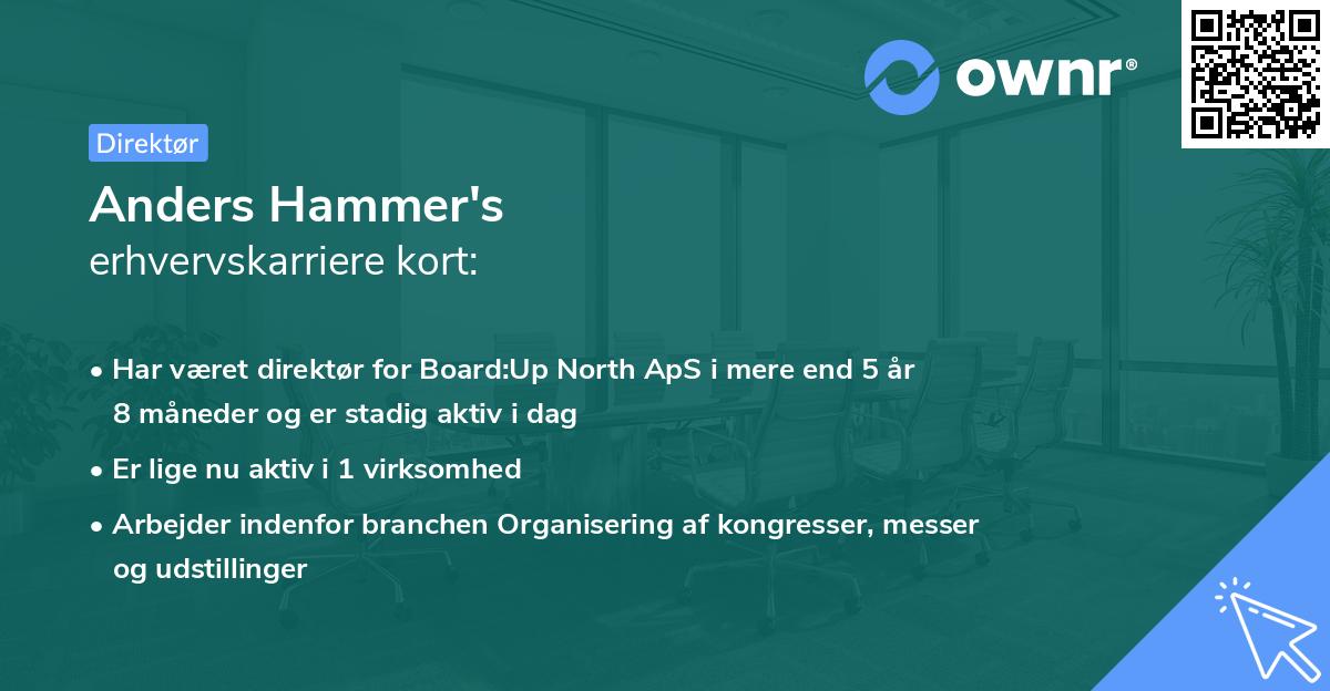 Anders Hammer's erhvervskarriere kort
