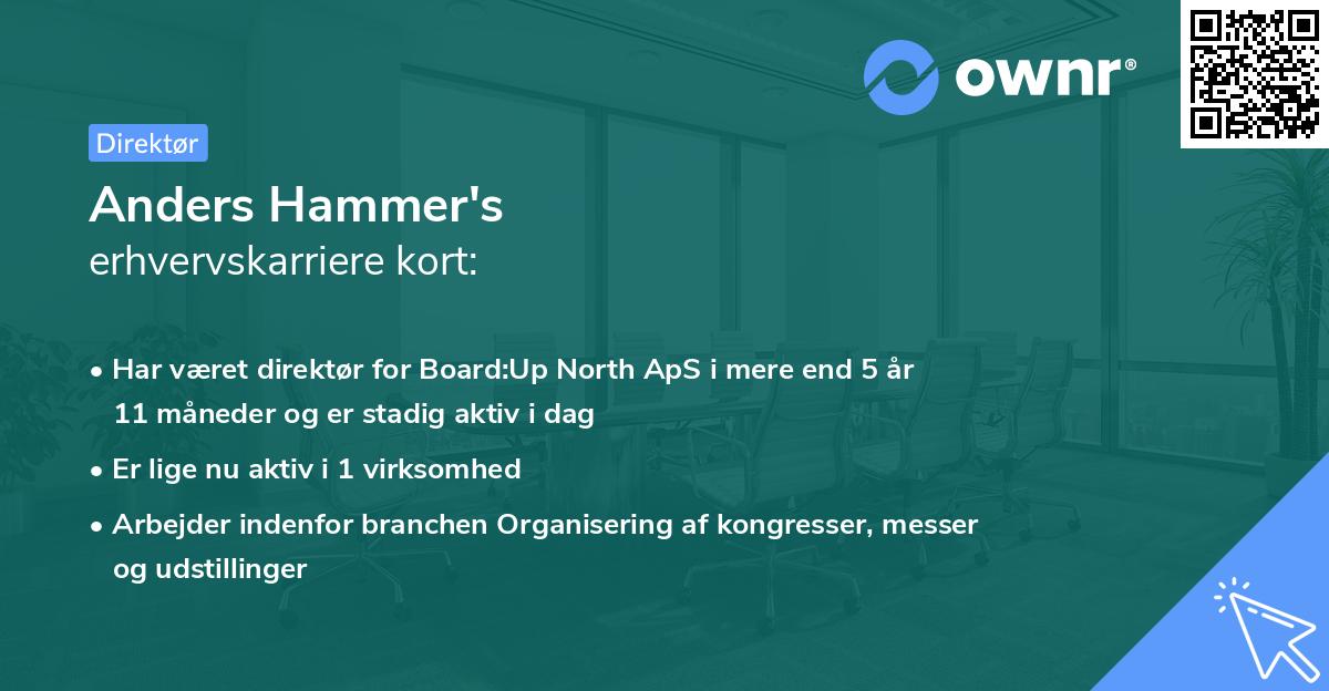 Anders Hammer's erhvervskarriere kort