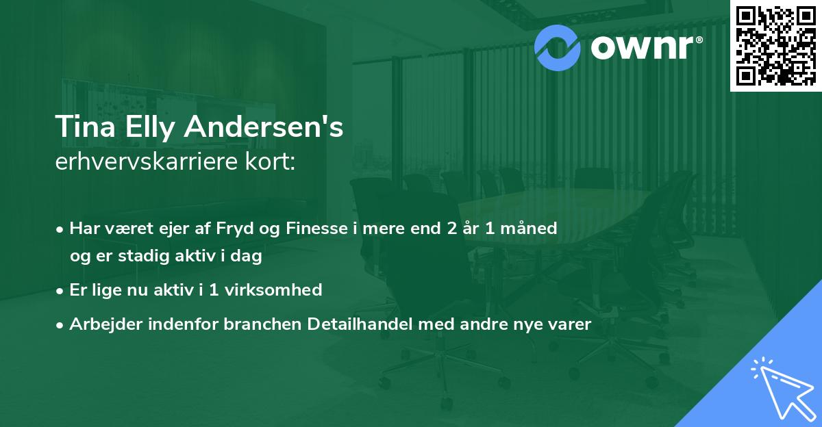 Tina Elly Andersen's erhvervskarriere kort
