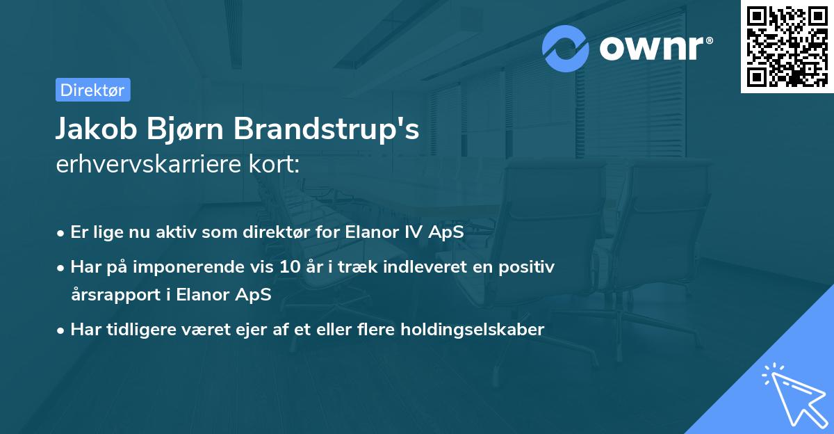 Jakob Bjørn Brandstrup's erhvervskarriere kort