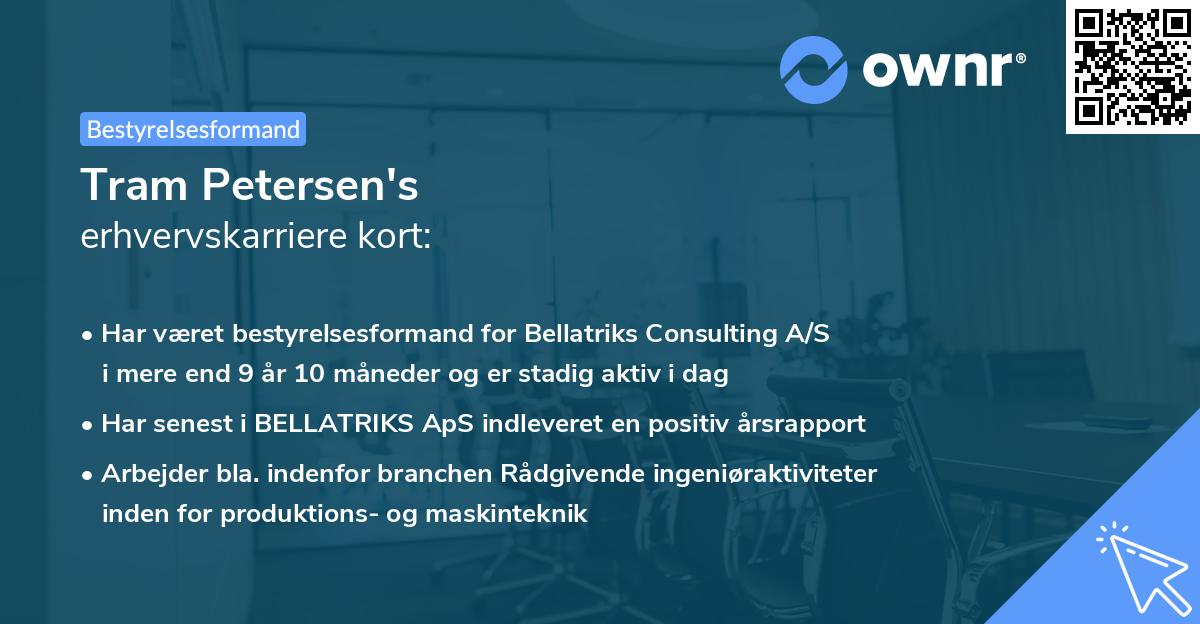 Tram Petersen's erhvervskarriere kort