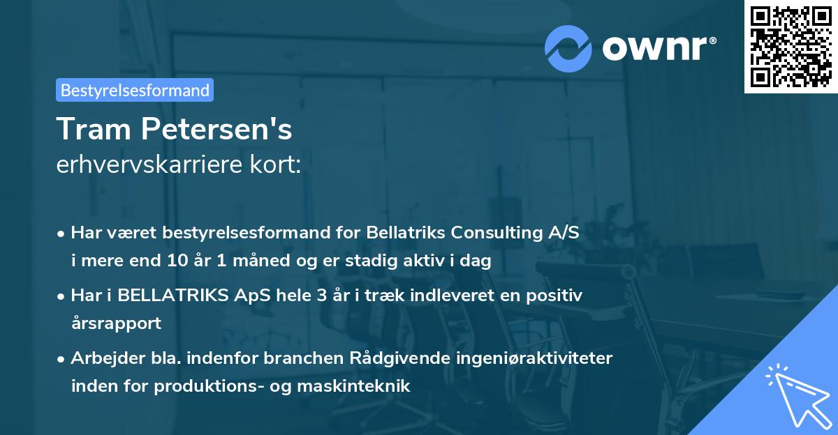 Tram Petersen's erhvervskarriere kort