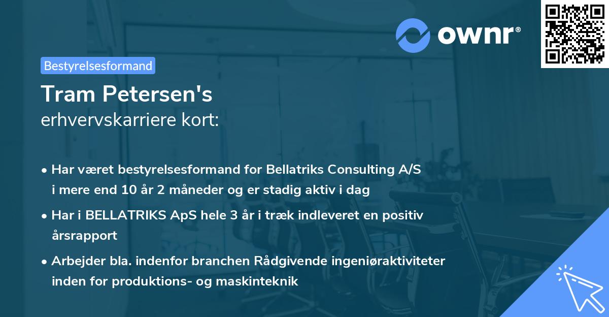 Tram Petersen's erhvervskarriere kort