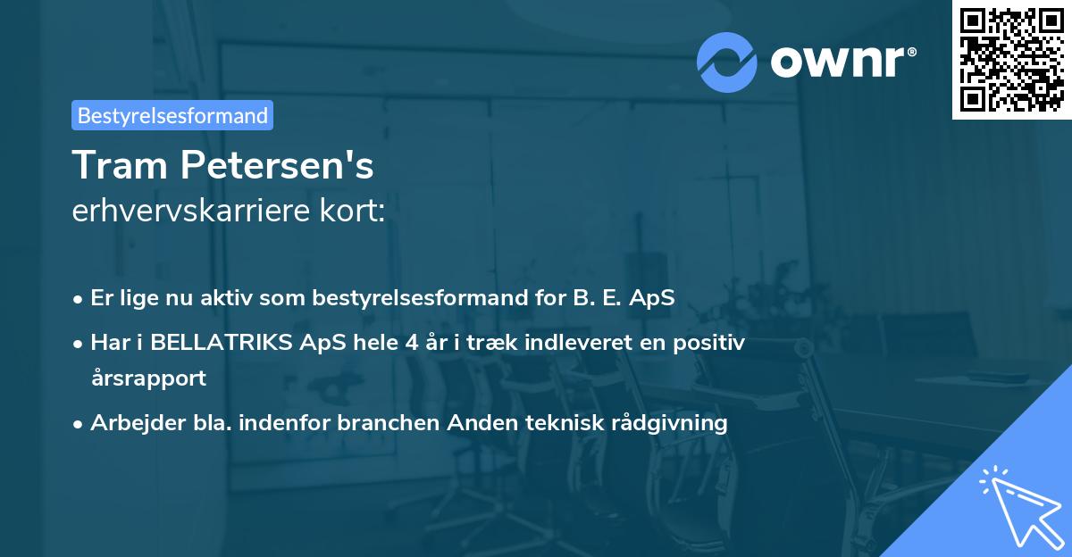 Tram Petersen's erhvervskarriere kort