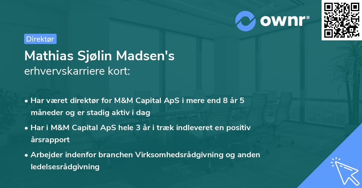 Mathias Sjølin Madsen's erhvervskarriere kort
