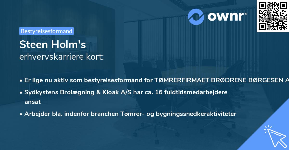 Steen Holm's erhvervskarriere kort