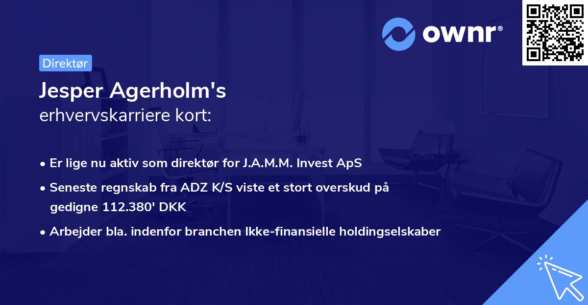 Jesper Agerholm's erhvervskarriere kort