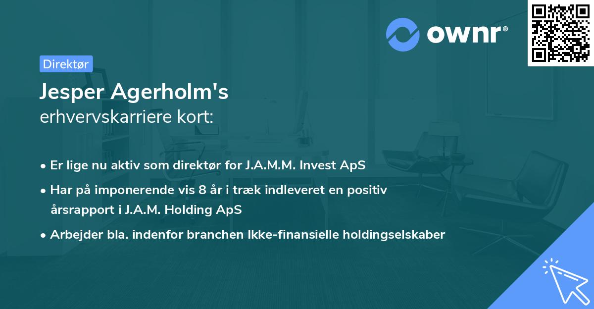 Jesper Agerholm's erhvervskarriere kort