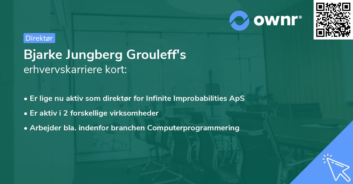 Bjarke Jungberg Grouleff's erhvervskarriere kort