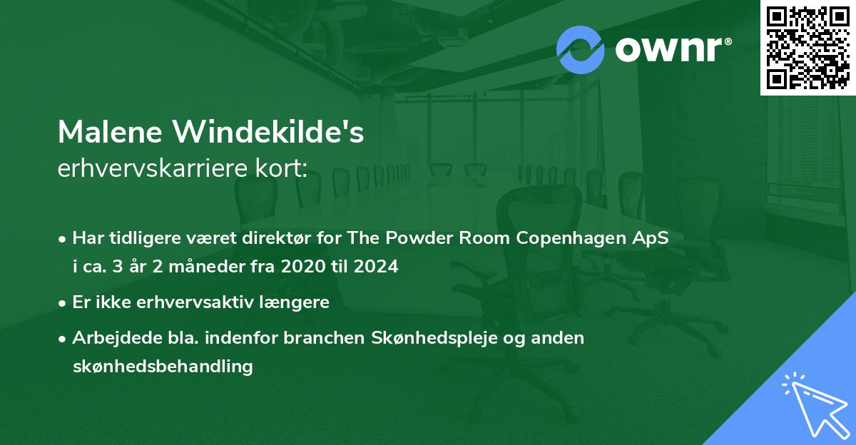 Malene Windekilde's erhvervskarriere kort