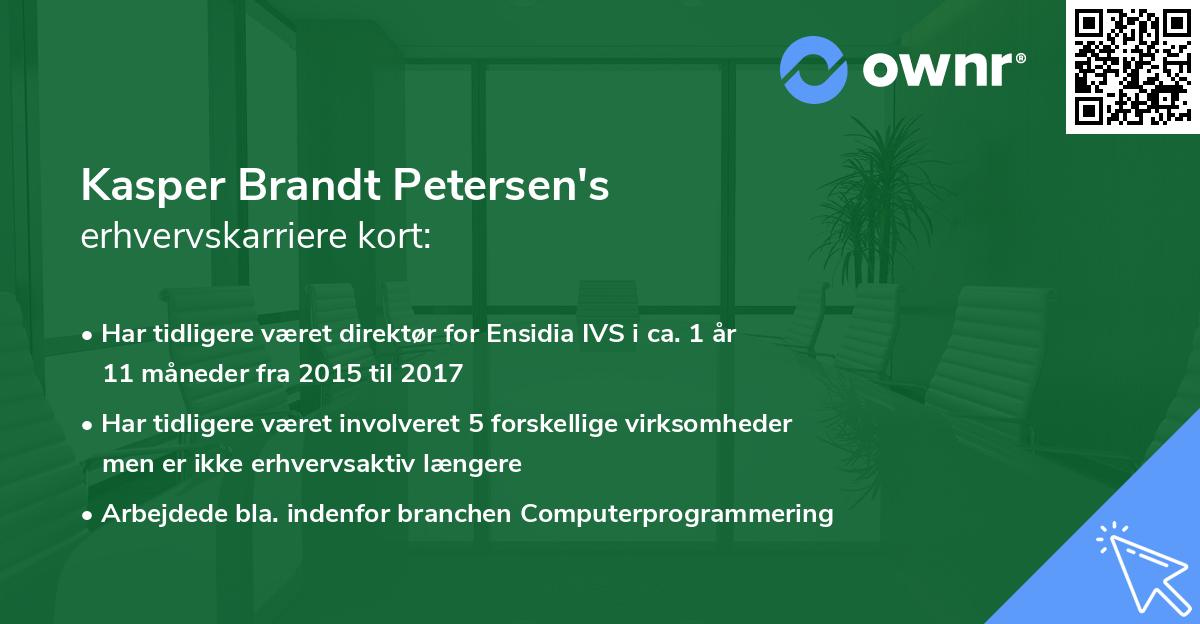 Kasper Brandt Petersen's erhvervskarriere kort