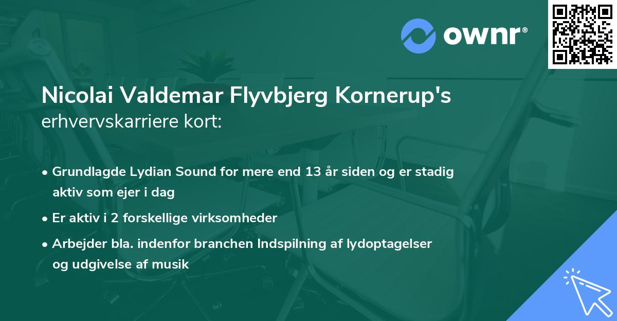 Nicolai Valdemar Flyvbjerg Kornerup's erhvervskarriere kort