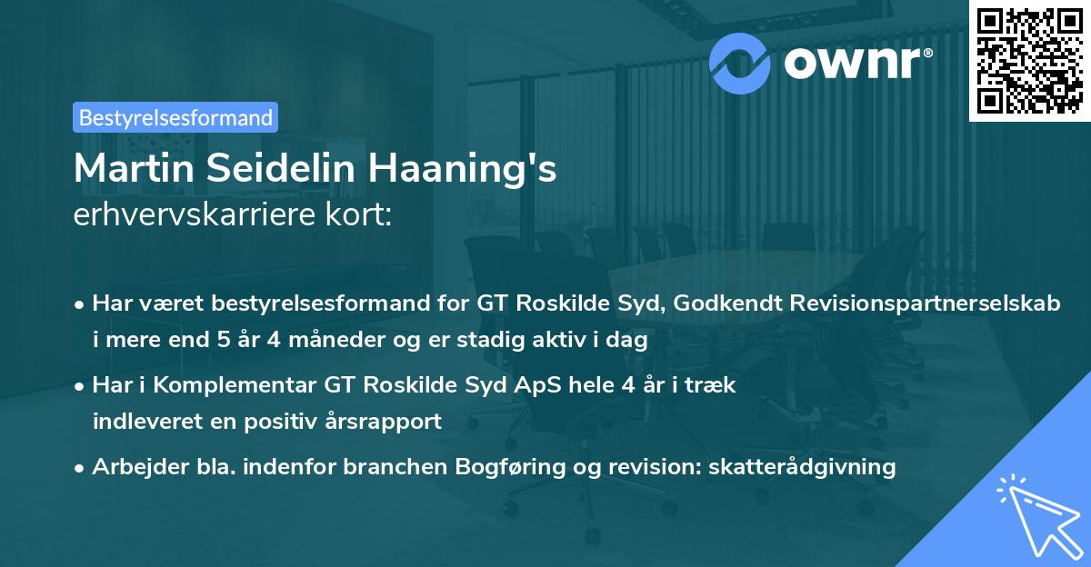 Martin Seidelin Haaning's erhvervskarriere kort