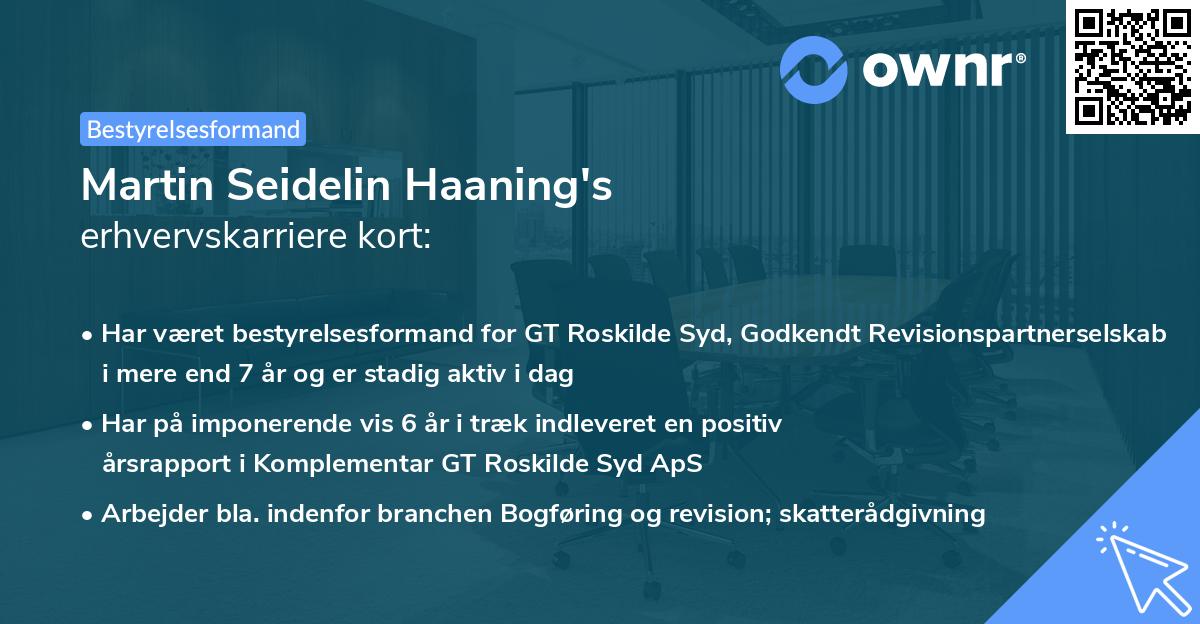 Martin Seidelin Haaning's erhvervskarriere kort