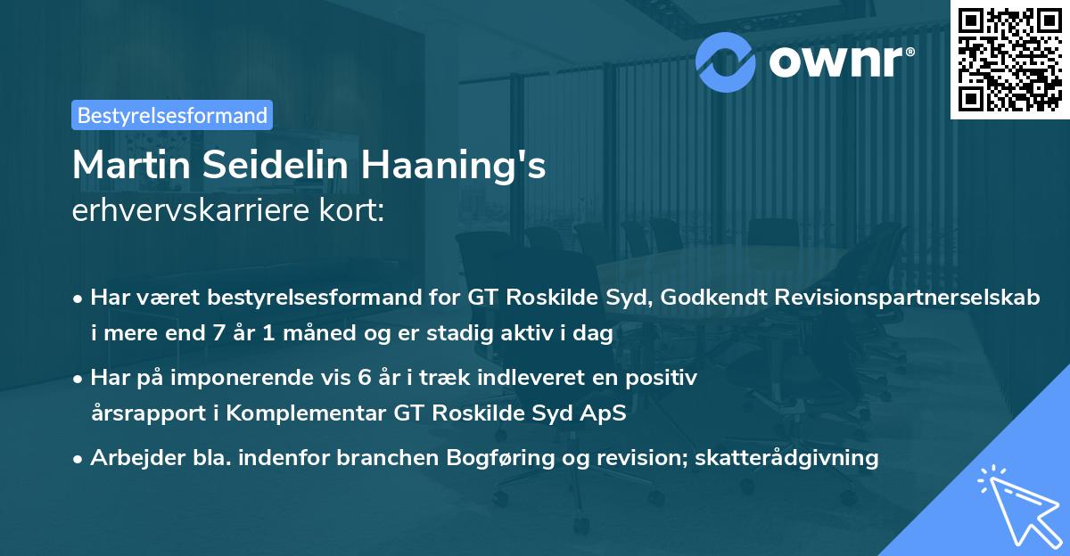 Martin Seidelin Haaning's erhvervskarriere kort