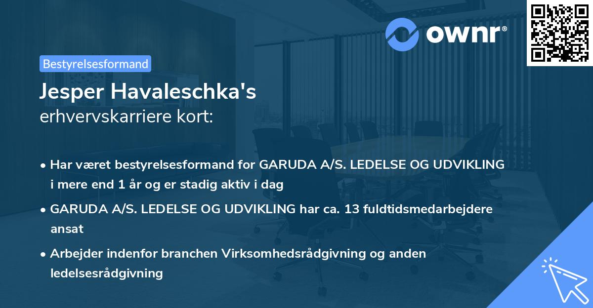 Jesper Havaleschka's erhvervskarriere kort