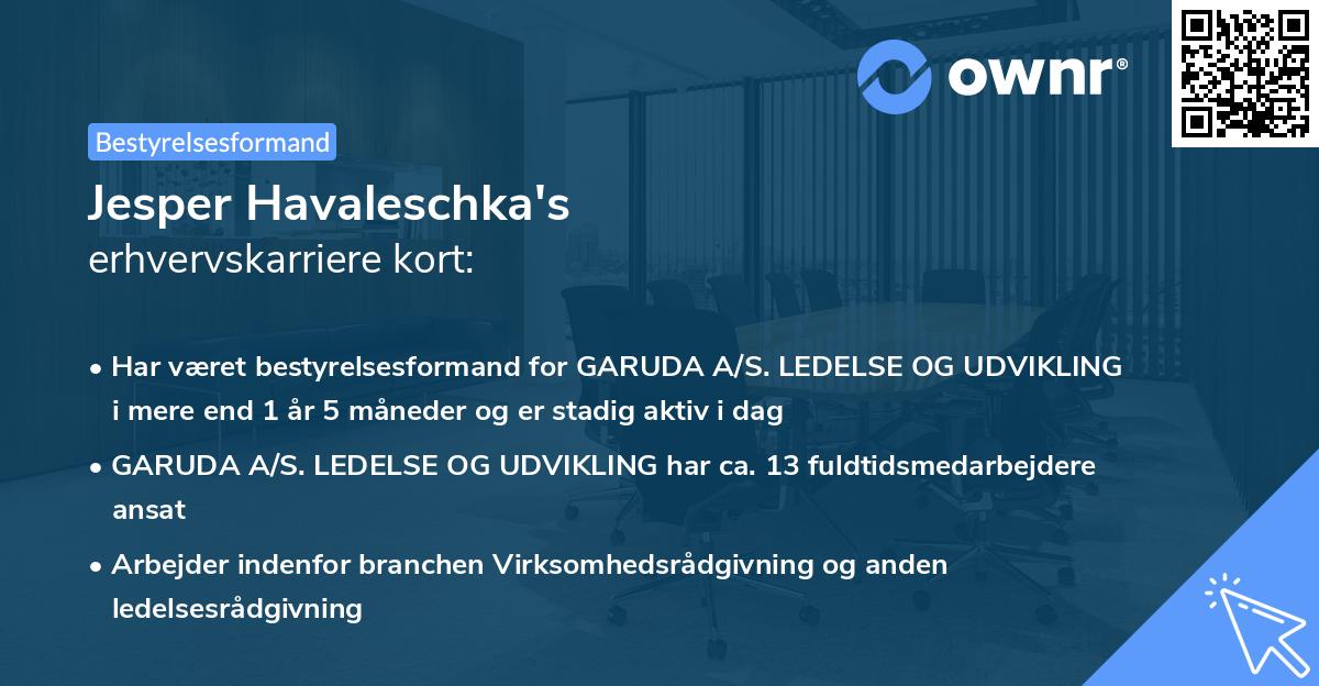 Jesper Havaleschka's erhvervskarriere kort