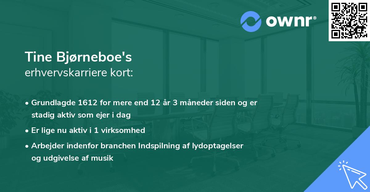 Tine Bjørneboe's erhvervskarriere kort