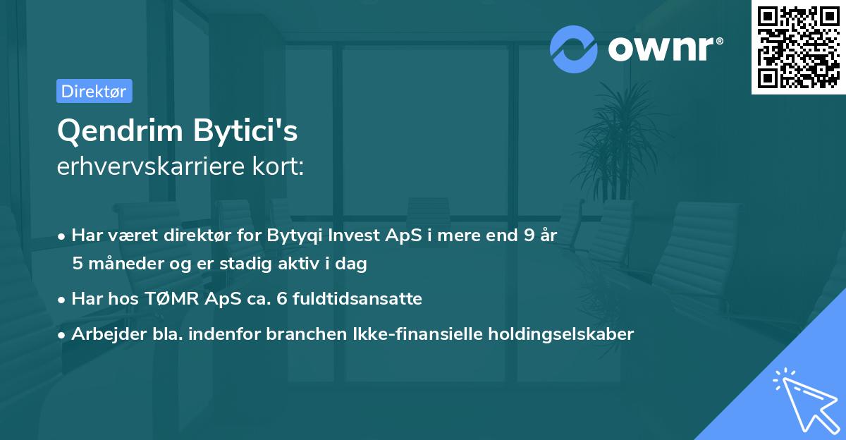 Qendrim Bytici's erhvervskarriere kort
