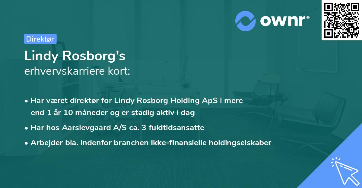 Lindy Rosborg's erhvervskarriere kort