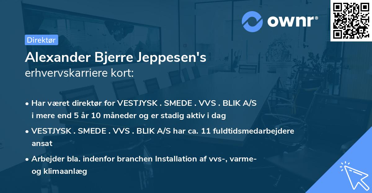 Alexander Bjerre Jeppesen's erhvervskarriere kort
