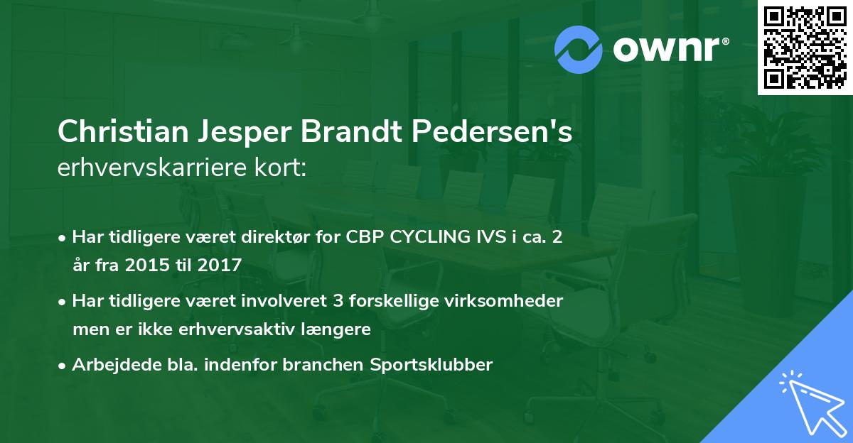 Christian Jesper Brandt Pedersen's erhvervskarriere kort