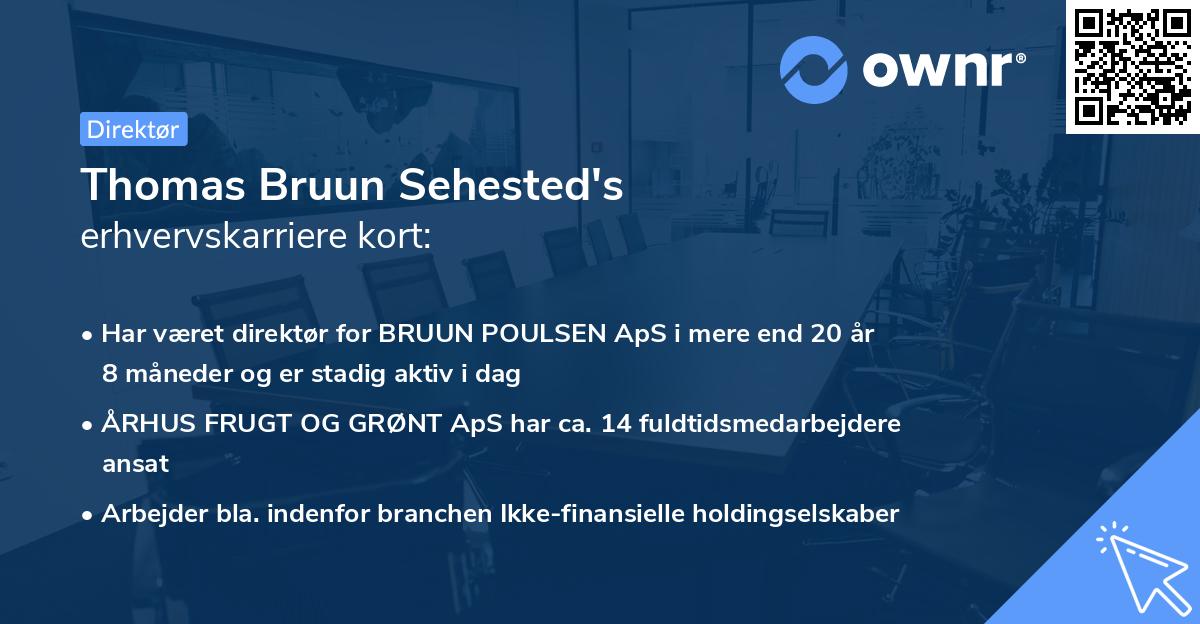 Thomas Bruun Sehested's erhvervskarriere kort