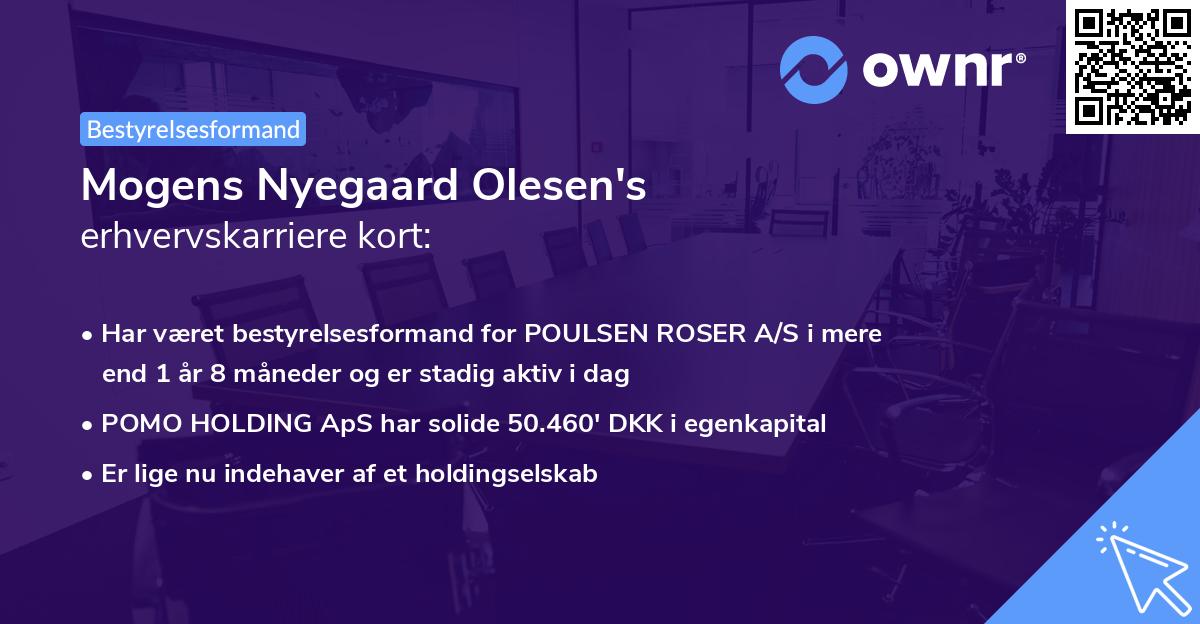 Mogens Nyegaard Olesen's erhvervskarriere kort
