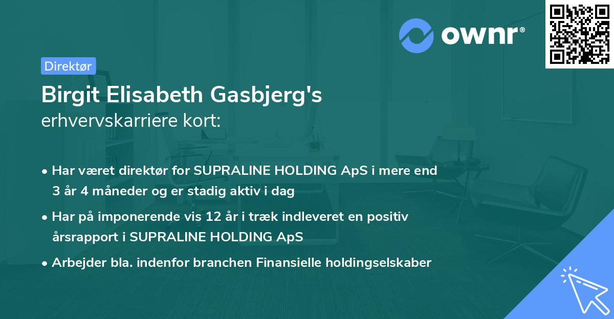 Birgit Elisabeth Gasbjerg's erhvervskarriere kort