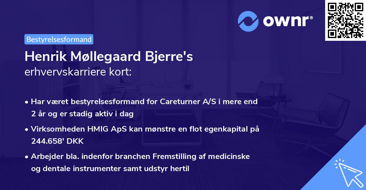 Henrik Møllegaard Bjerre's erhvervskarriere kort