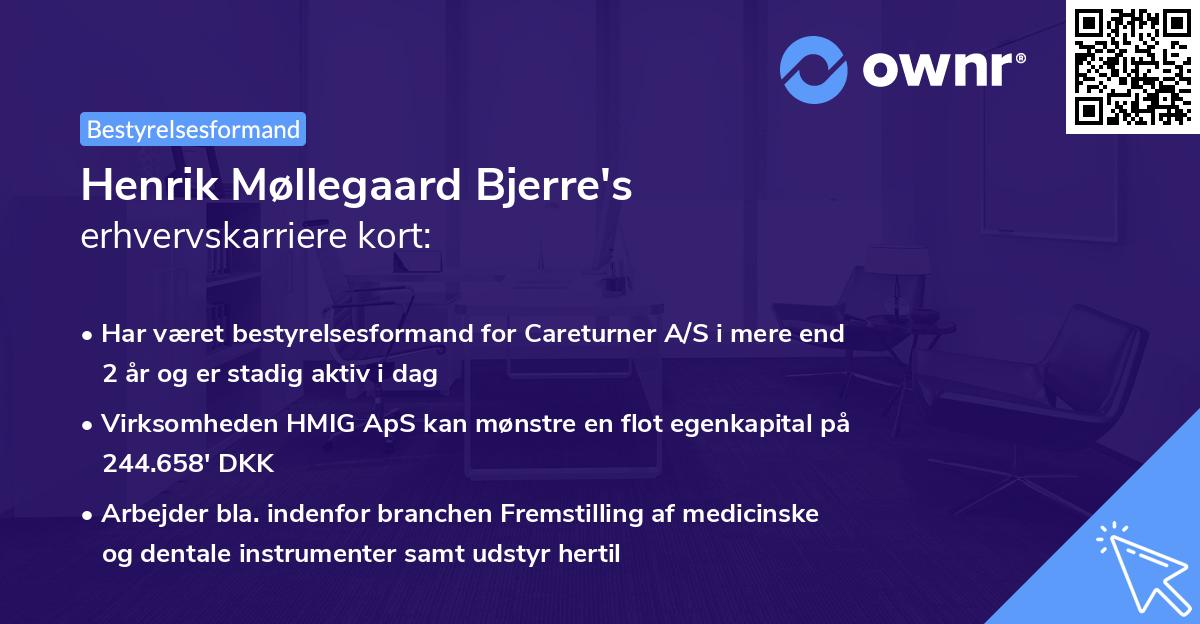 Henrik Møllegaard Bjerre's erhvervskarriere kort