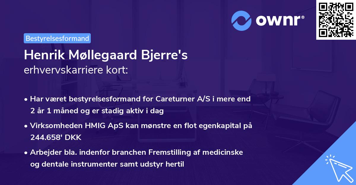 Henrik Møllegaard Bjerre's erhvervskarriere kort