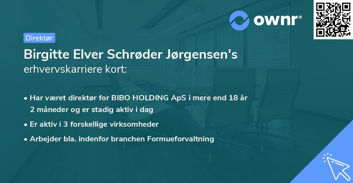 Birgitte Elver Schrøder Jørgensen's erhvervskarriere kort
