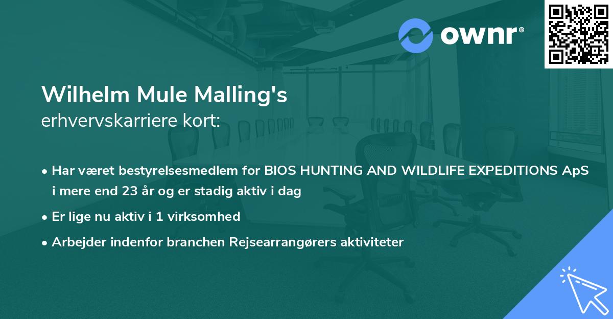 Wilhelm Mule Malling's erhvervskarriere kort