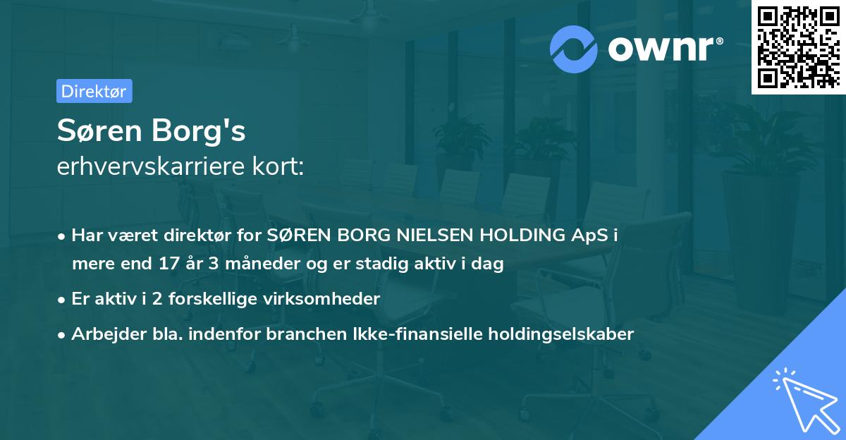 Søren Borg's erhvervskarriere kort