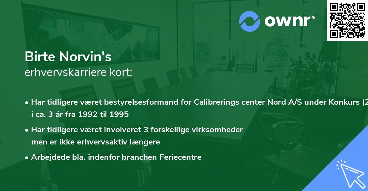 Birte Norvin's erhvervskarriere kort