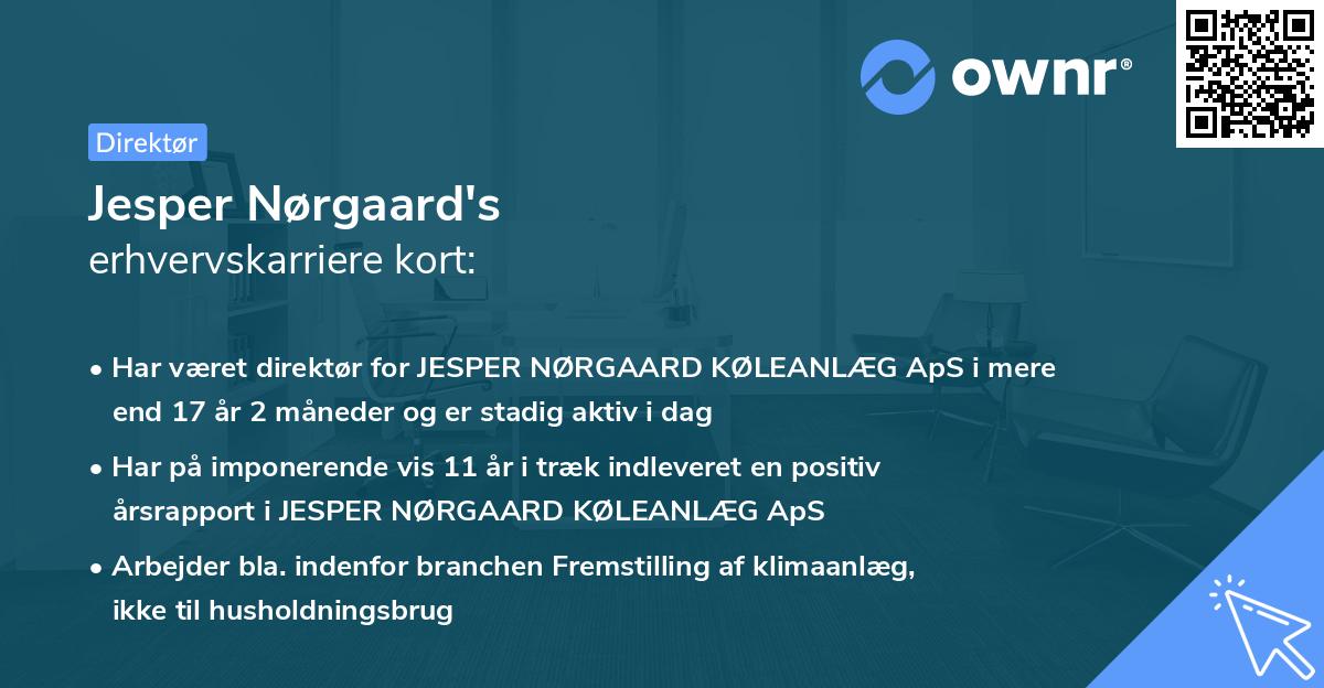 Jesper Nørgaard's erhvervskarriere kort