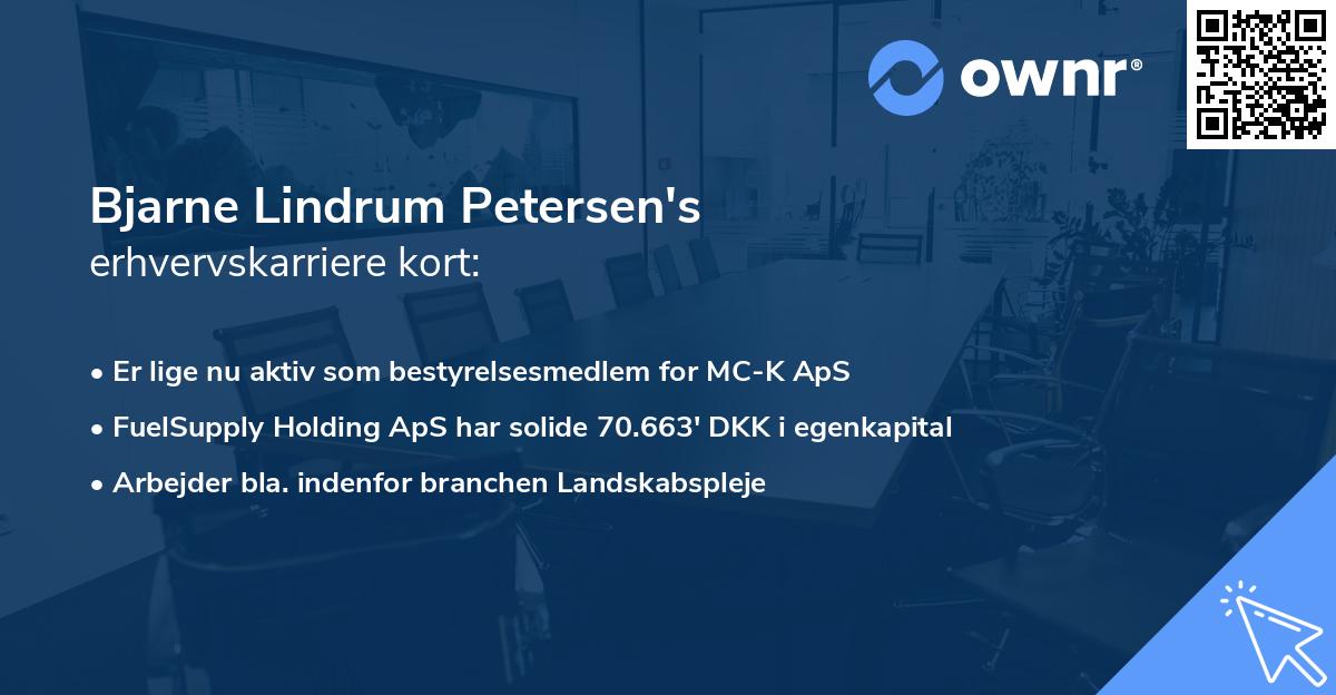 Bjarne Lindrum Petersen's erhvervskarriere kort