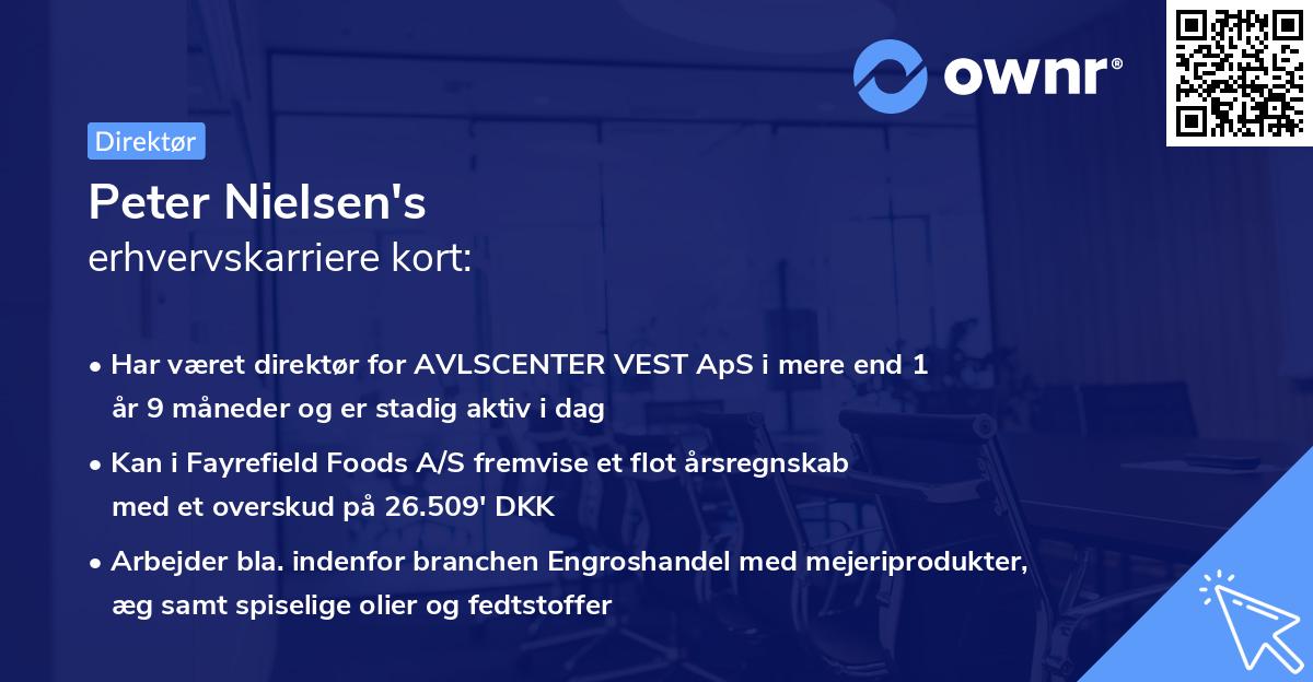 Peter Nielsen's erhvervskarriere kort