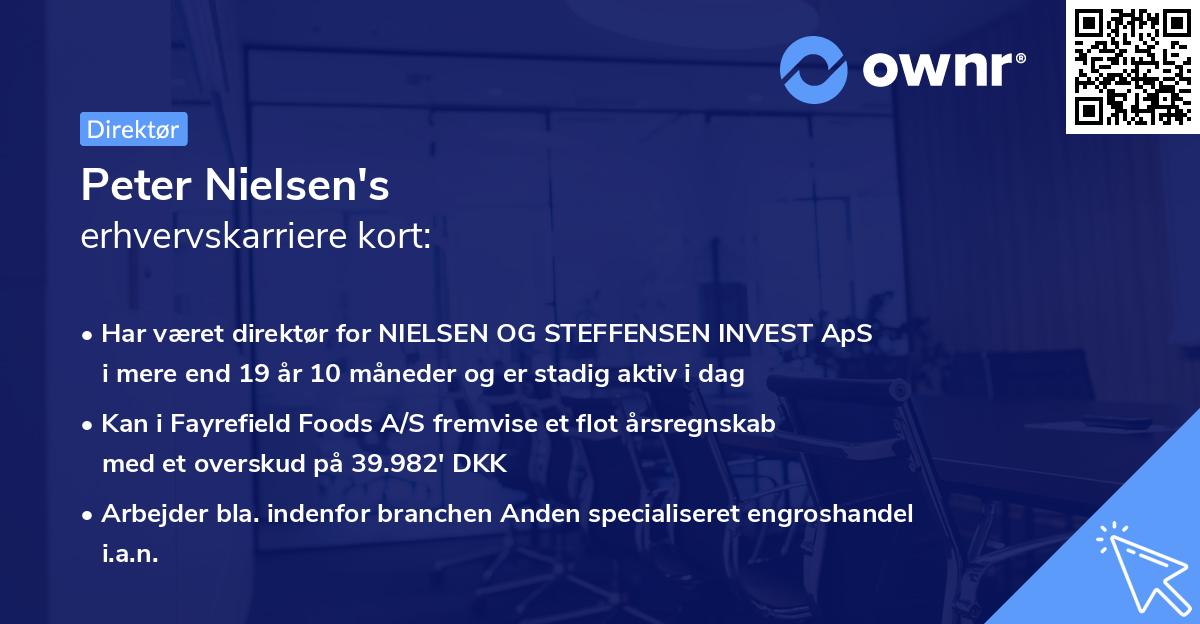 Peter Nielsen's erhvervskarriere kort