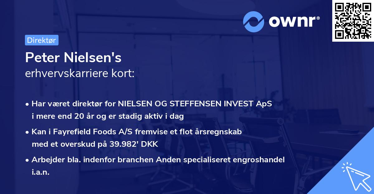 Peter Nielsen's erhvervskarriere kort
