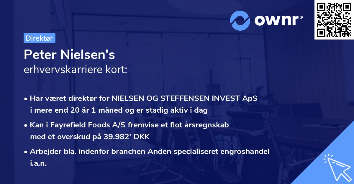 Peter Nielsen's erhvervskarriere kort