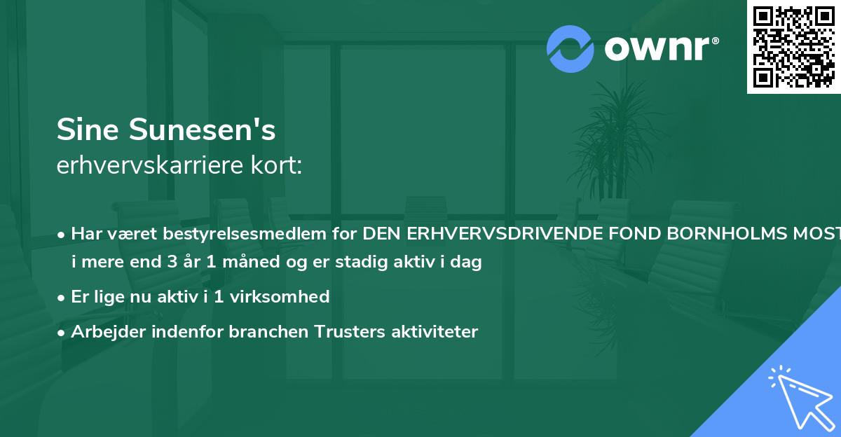 Sine Sunesen's erhvervskarriere kort