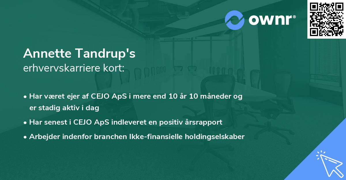 Annette Tandrup's erhvervskarriere kort