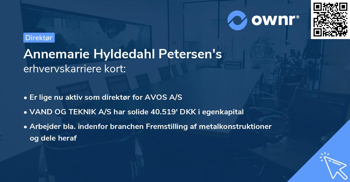 Annemarie Hyldedahl Petersen's erhvervskarriere kort