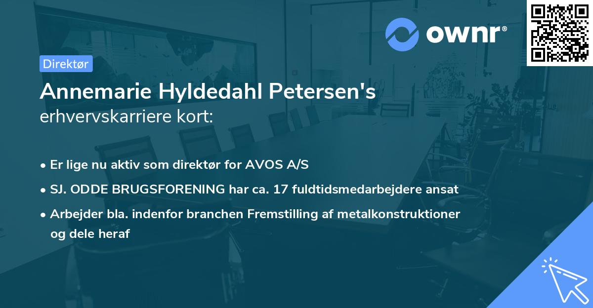 Annemarie Hyldedahl Petersen's erhvervskarriere kort